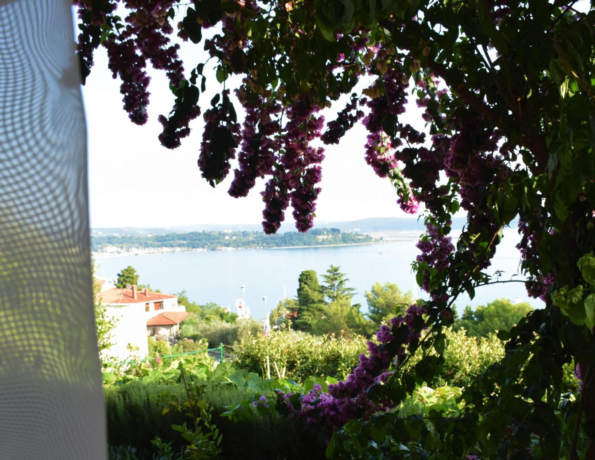 Apartments Fink Portorož Eksteriør billede